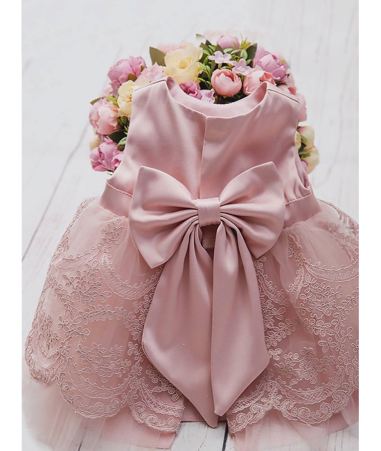 Платье для новорожденных Буше пудра