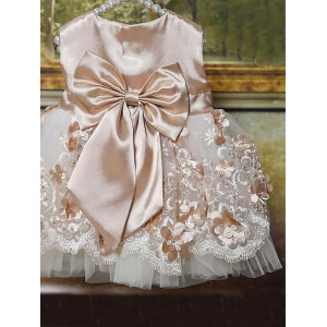 Платье для новорожденных Великолепная роскошь какао